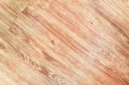 2019年中国木浆市场主要趋势展望