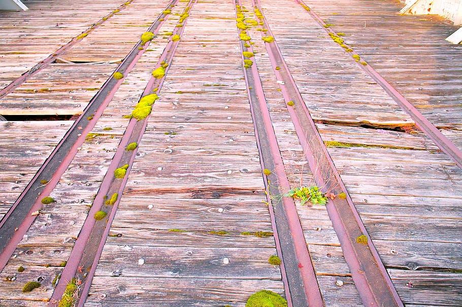 印度汽车业三个月内共裁员35万人 多家公司停产数日