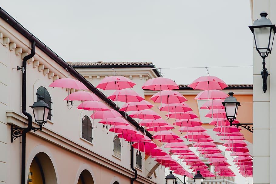 晶科、晶澳、阿特斯领跑 2019上半年光伏组件出口数据出炉