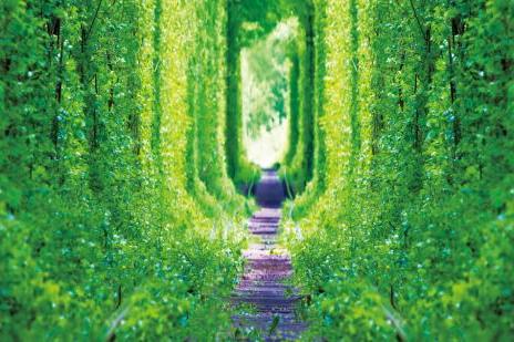 新三板公司转板将开启绿色通道